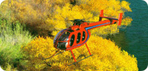 Hughes 600n Capabilities